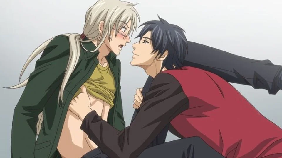 TOP 25+ bộ anime đam mỹ Nhật Bản hấp dẫn và đầy cảm xúc (2)