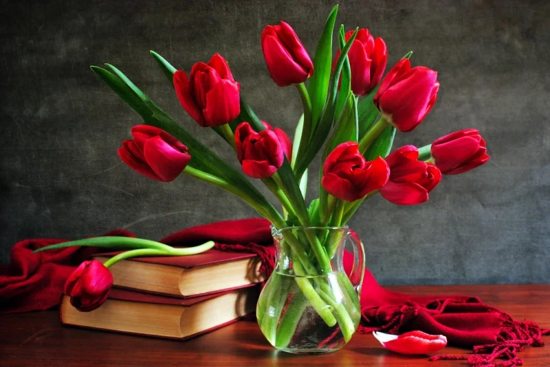 Hoa Tulip Đỏ: Tìm hiểu ý nghĩa đặc điểm cách trồng và cách chăm sóc