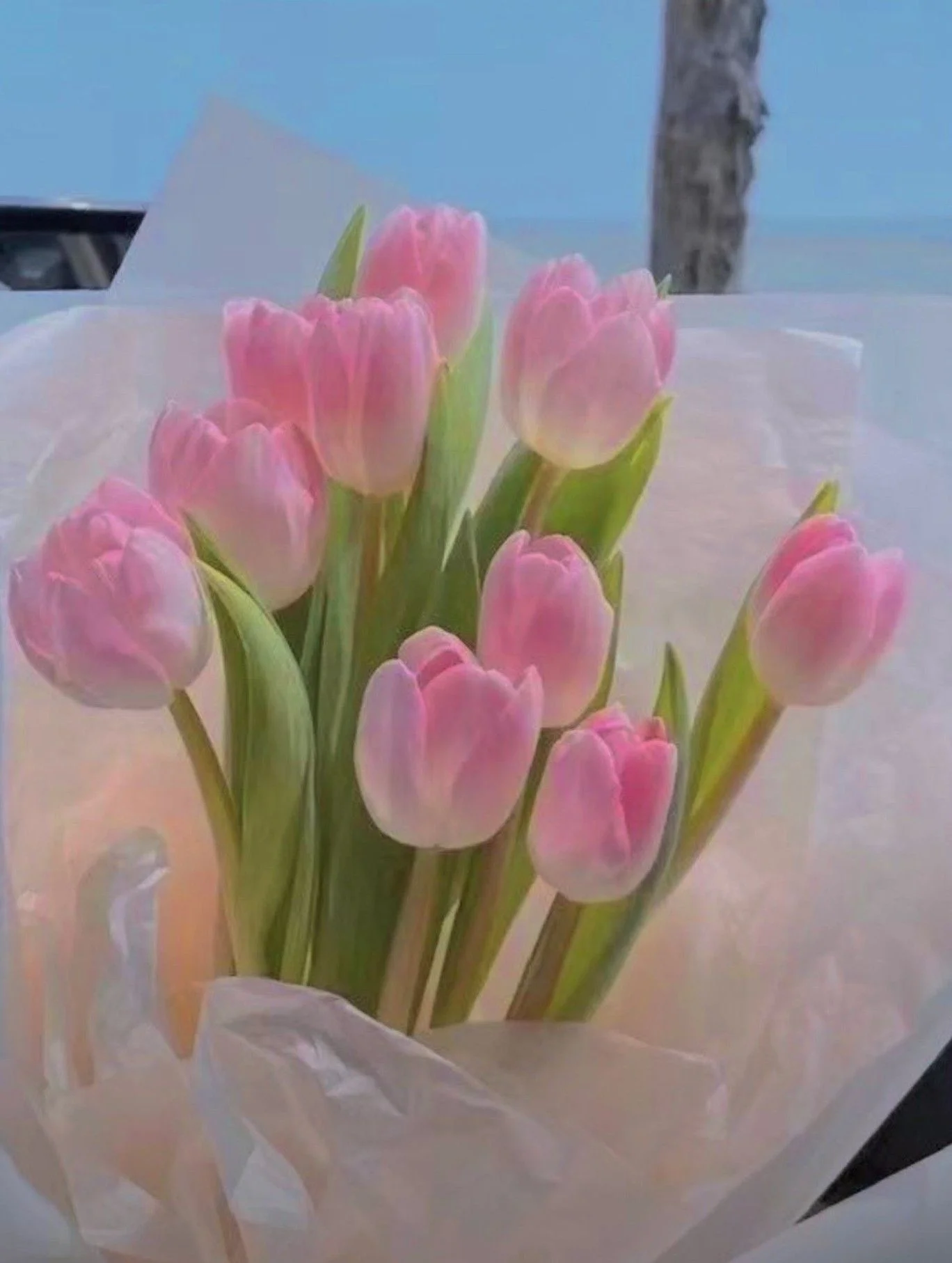 Bó hoa tulip hồng tươi được gói giấy trang trí
