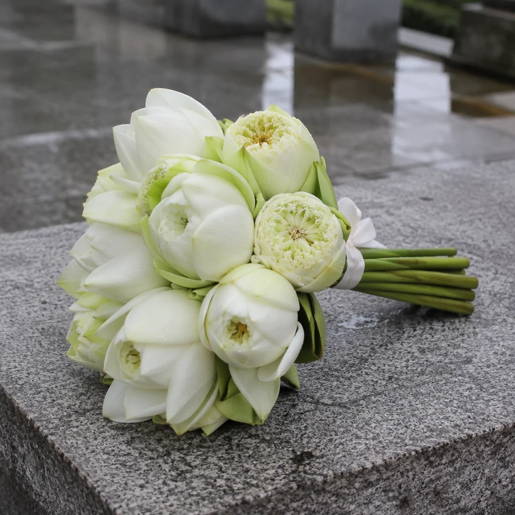 hình ảnh hoa sen trắng đám tang, mẫu 43