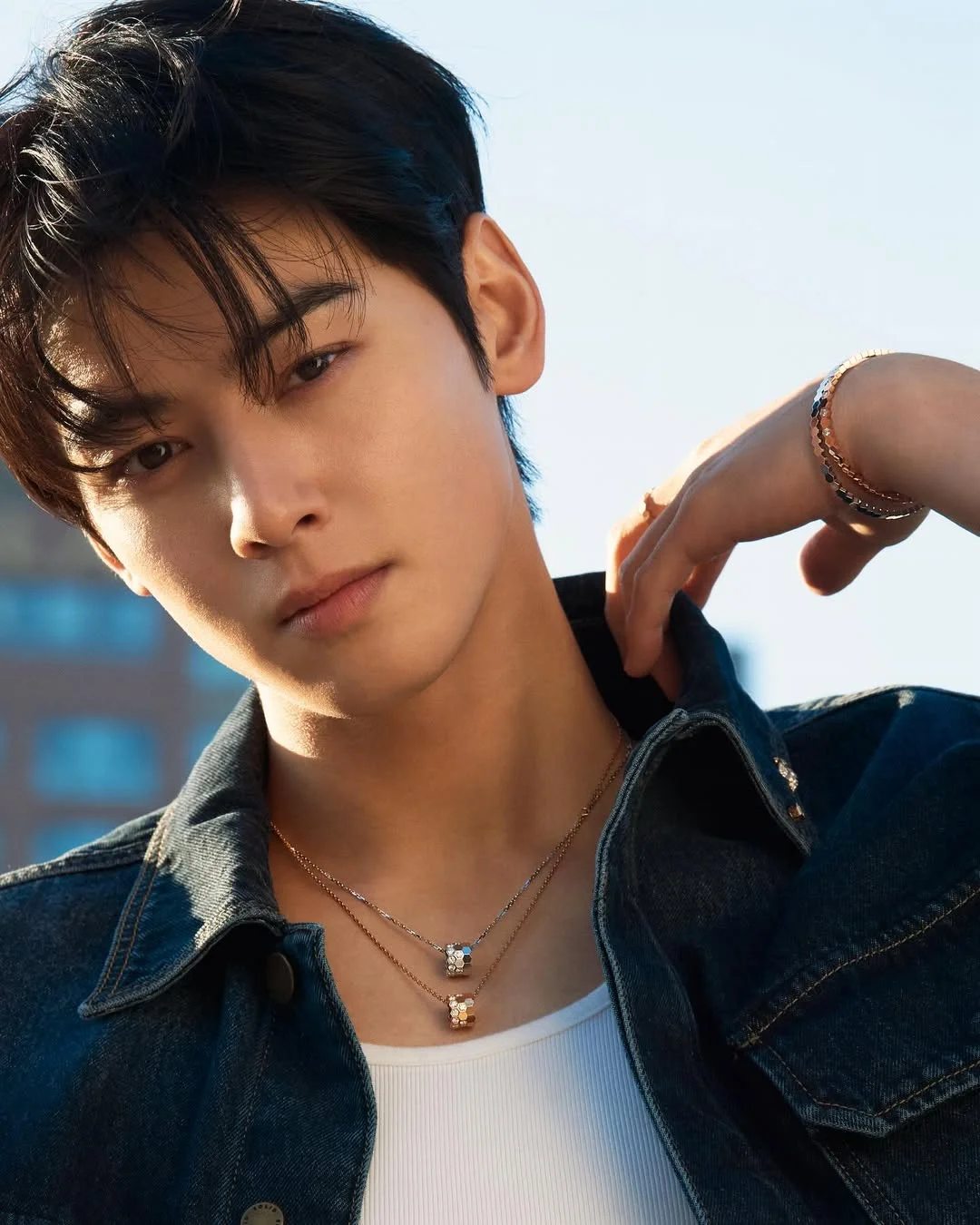Cha Eun Woo
