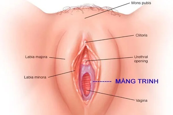 Hình 46 trong bộ sex gái còn trinh