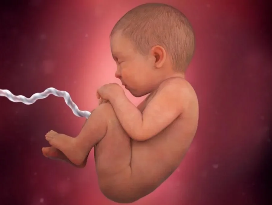 Ở tuần thai 39 là thời điểm thai nhi đã sẵn sàng để chào đời