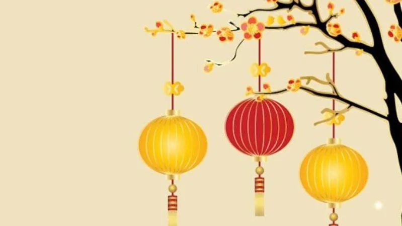 Cành mai và đèn lồng trang trí Tết Nguyên Đán