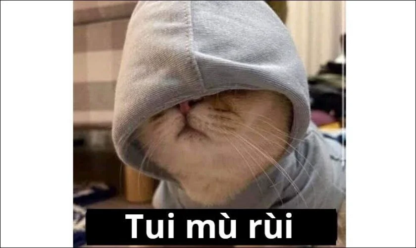 Hình ảnh meme bất lực 2025