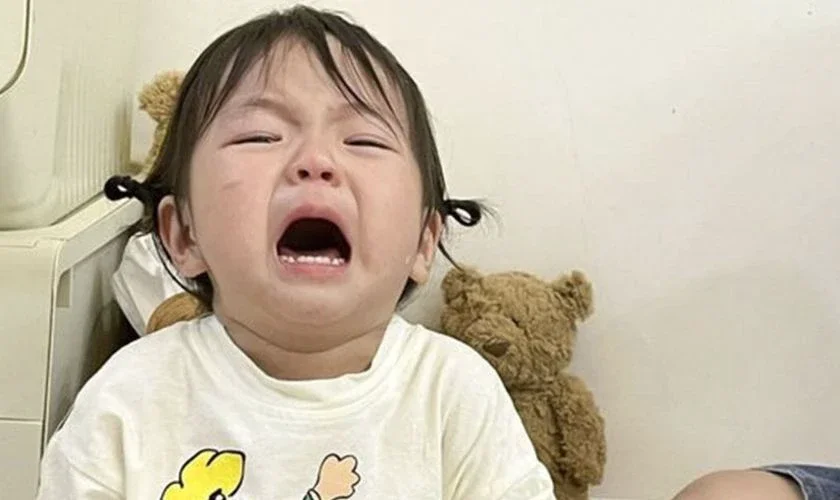 Ảnh meme khóc, meme tâm trạng nhất 2025