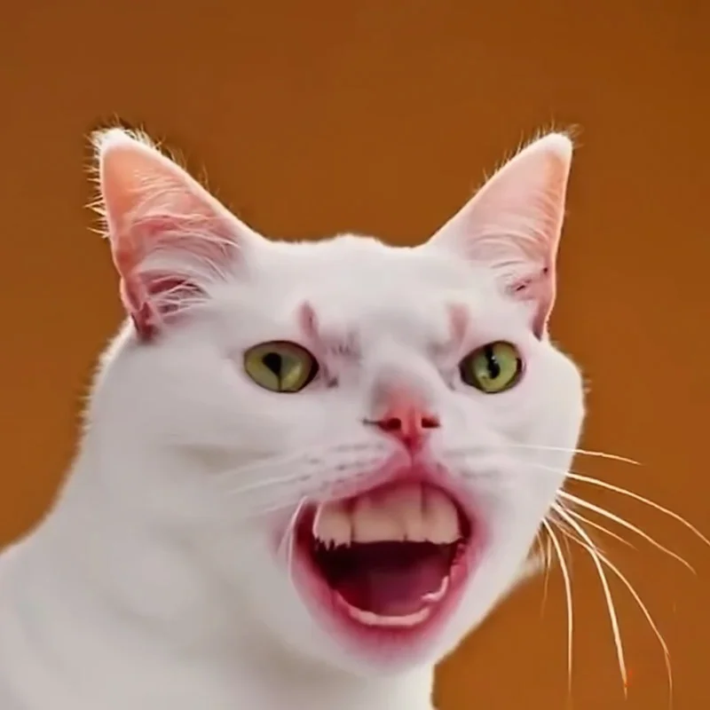 Tổng hợp meme mèo biểu cảm ngơ ngác, vô tri cực hài, phù hợp để phản ứng mọi tình huống khó đỡ (3)