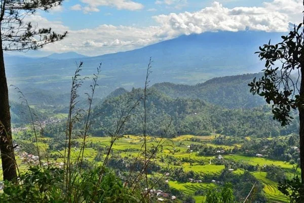 Ảnh nền đẹp thung lũng xanh ruộng bậc thang và núi mây trải dài