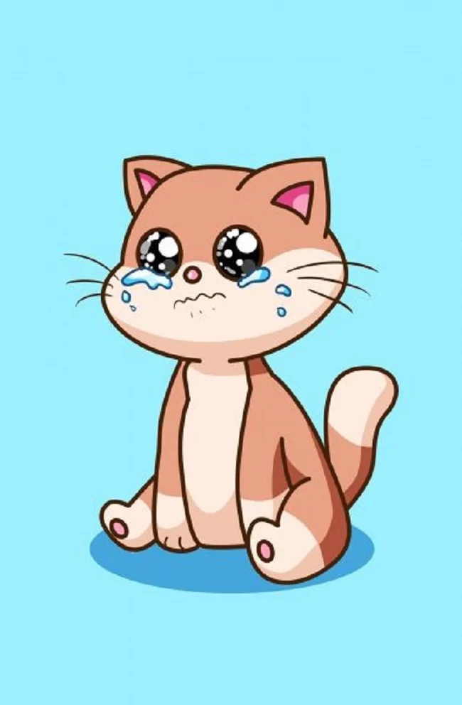 Ảnh mèo meme hoạt hình dễ thương đang khóc với đôi mắt to tròn