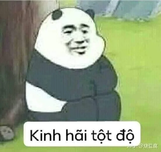 meme hài bựa (4)