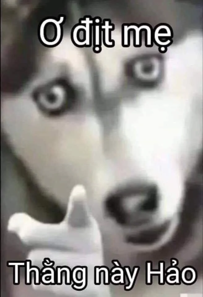meme hài bựa (3)