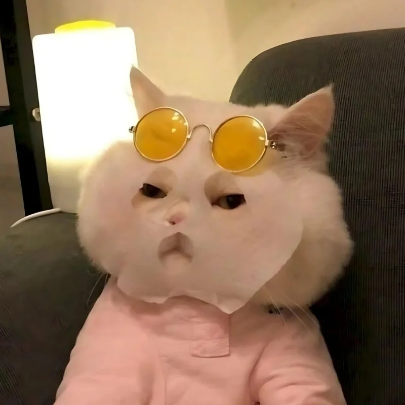 tải Ảnh chế meme mèo cười bựa hài hước (2)