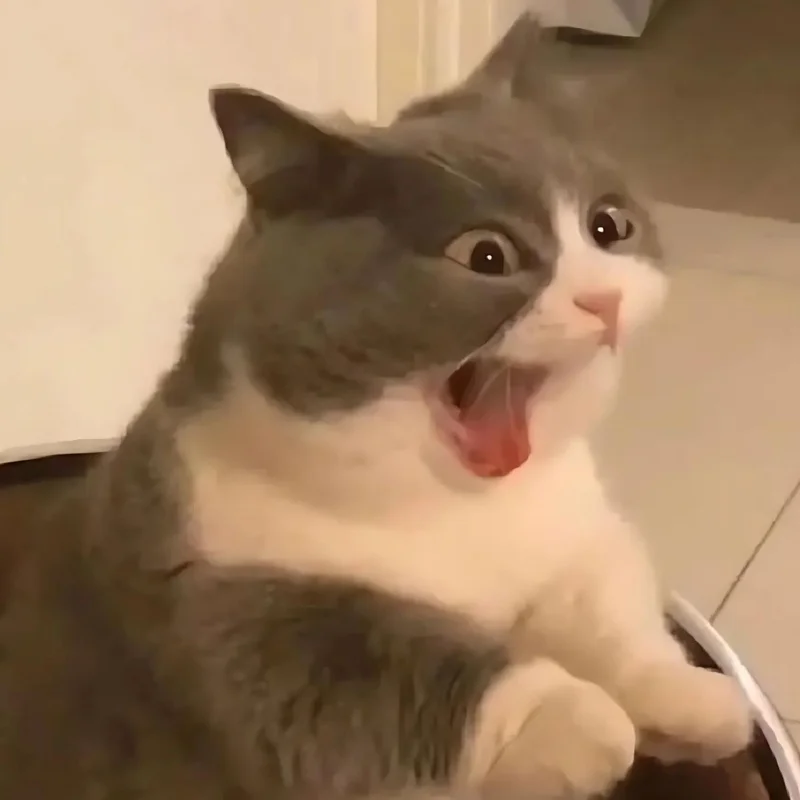 Ảnh chế meme mèo cười bựa hài hước chất lượng cao