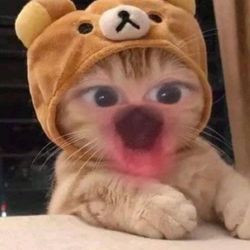 Tổng hợp ảnh meme bất ngờ hài hước làm bạn trở tay không kịp (2)