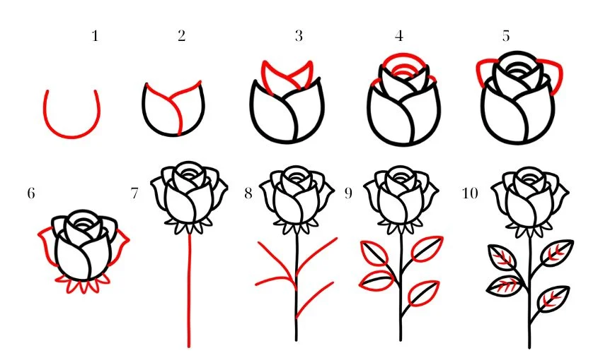 Cách vẽ hoa hồng đơn giản, đẹp, dễ vẽ từng bước hướng dẫn chi tiết