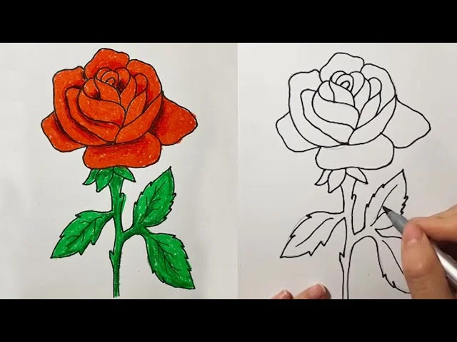 HƯỚNG DẪN VẼ HOA HỒNG I vẽ hoa hồng tặng cô, tặng mẹ ngày 8-3, 20/11 How to draw a Rose #smileart