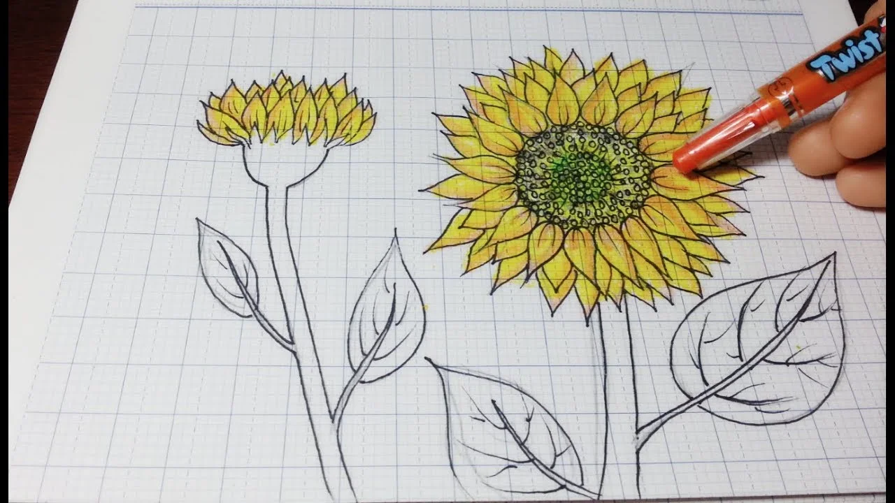 Hướng Dẫn Vẽ Hoa Hướng Dương Đơn Giãn Nhất/ How to draw sunflowers easy